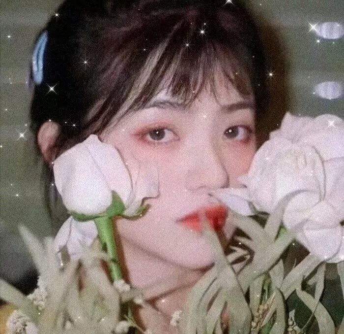 春色满园关不住